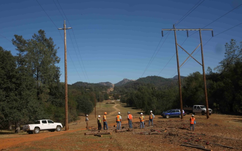 Beyond Reliability: Integrated Vegetation Management