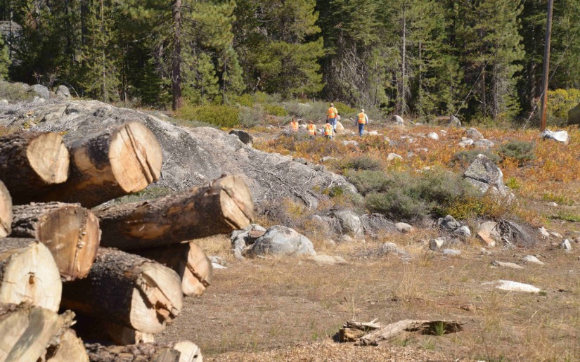 Hidden Values of the ROW Stewardship Accreditation